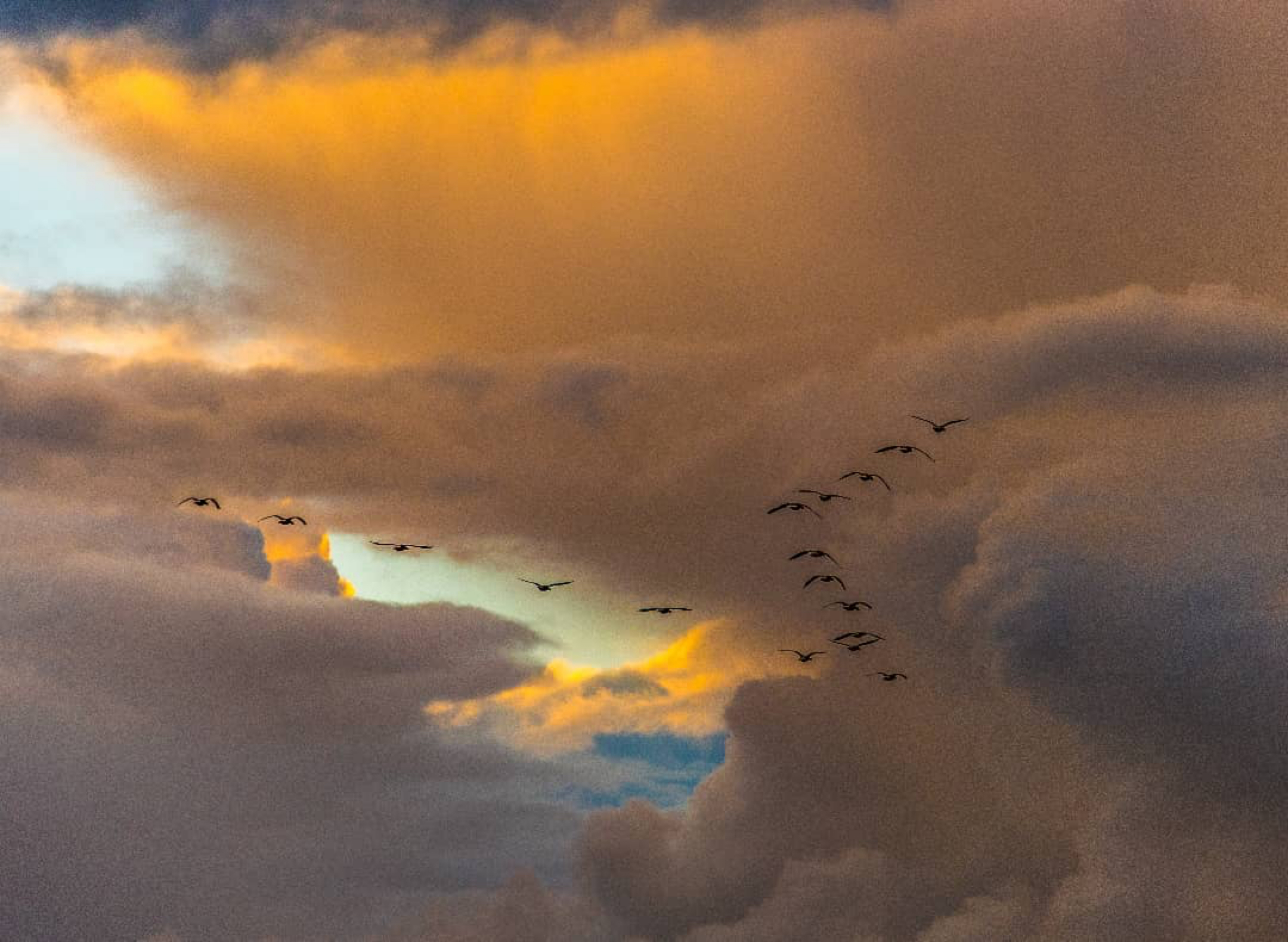 Alleen De Vogels Vliegen Van Oost Naar West Berlijn