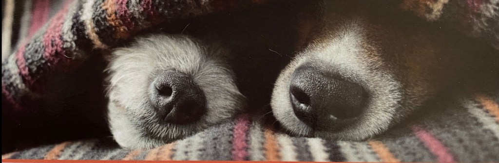 Post voor Monty