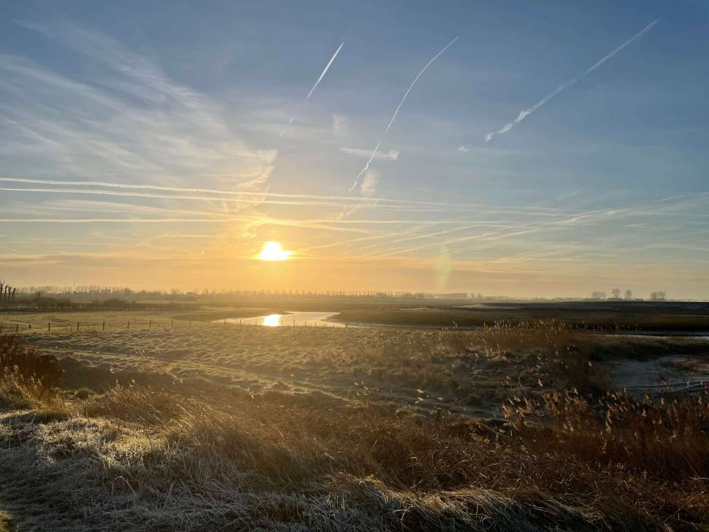 Een stille ochtend