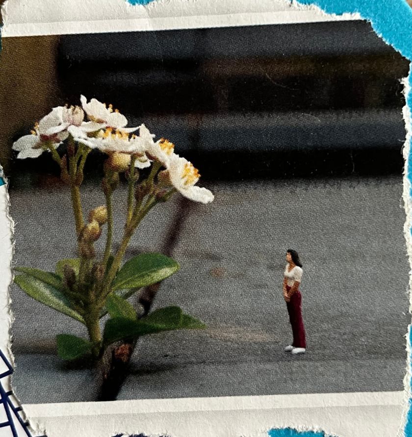 De grote wereld kleiner&nbsp;maken