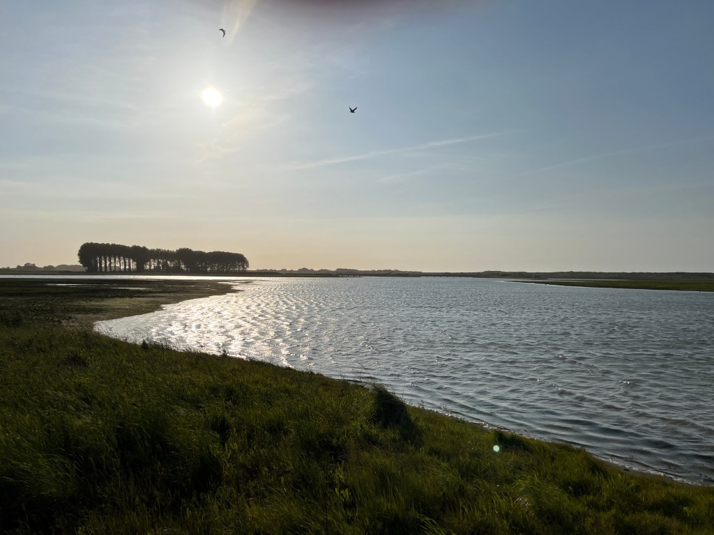 Avondwandeling
