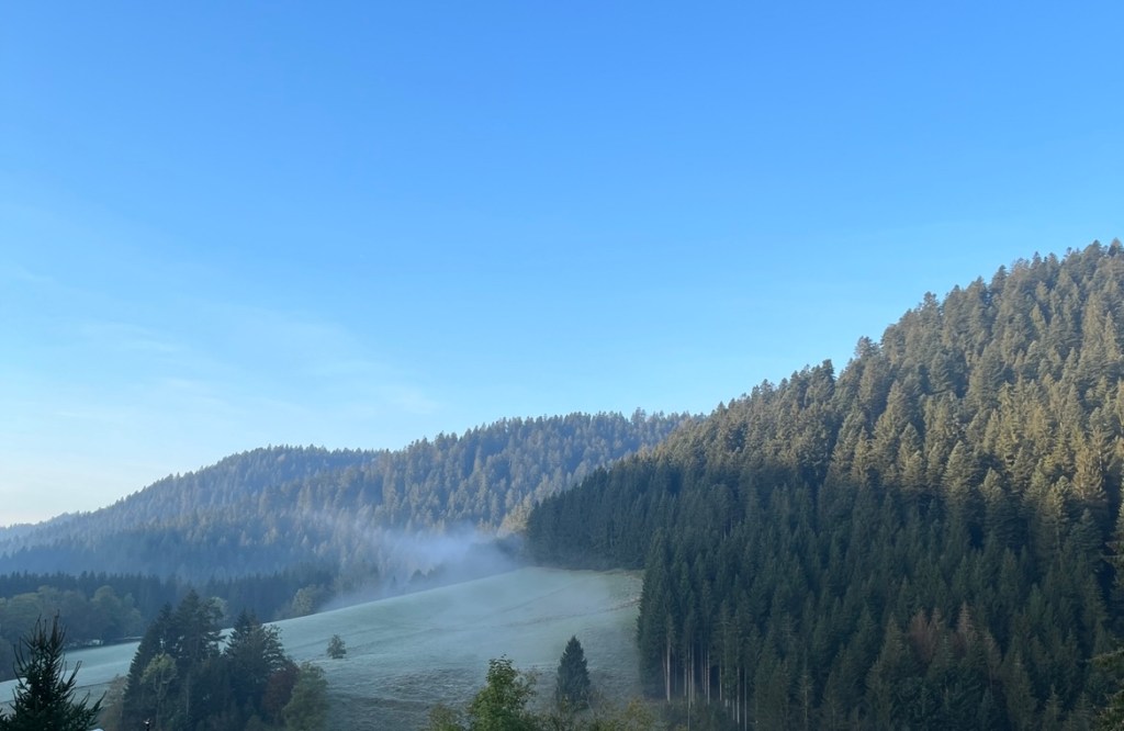 Uitzicht