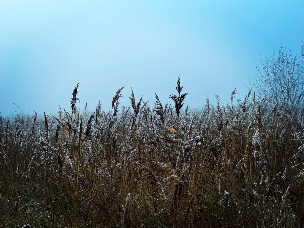 Winterochtend