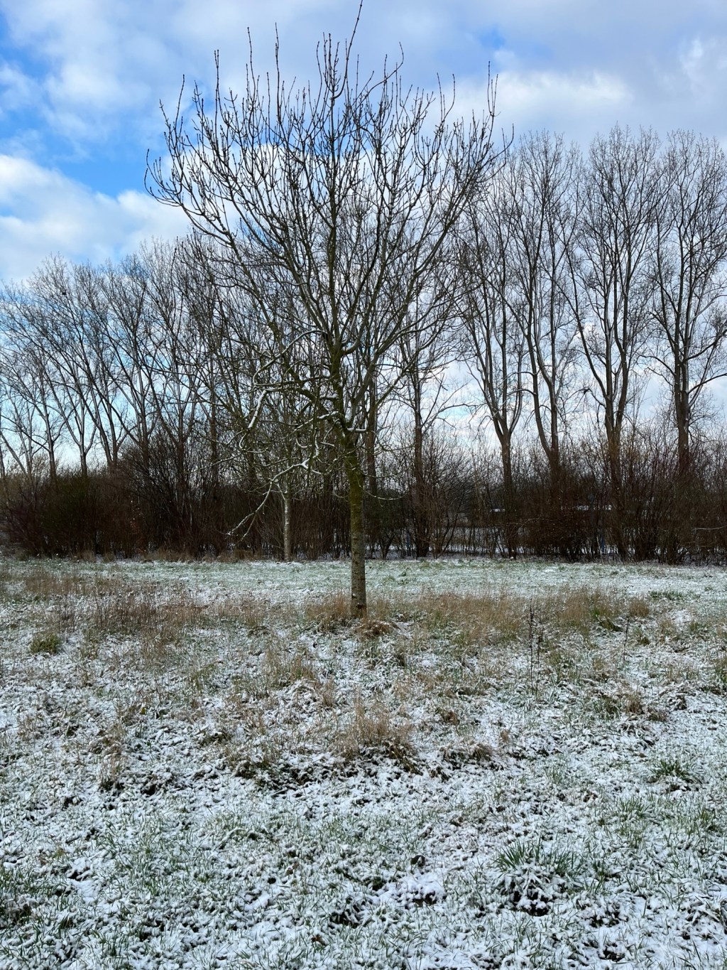 Winterzin