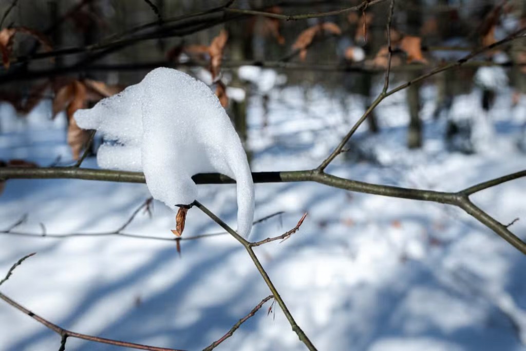 Sneeuwwereld
