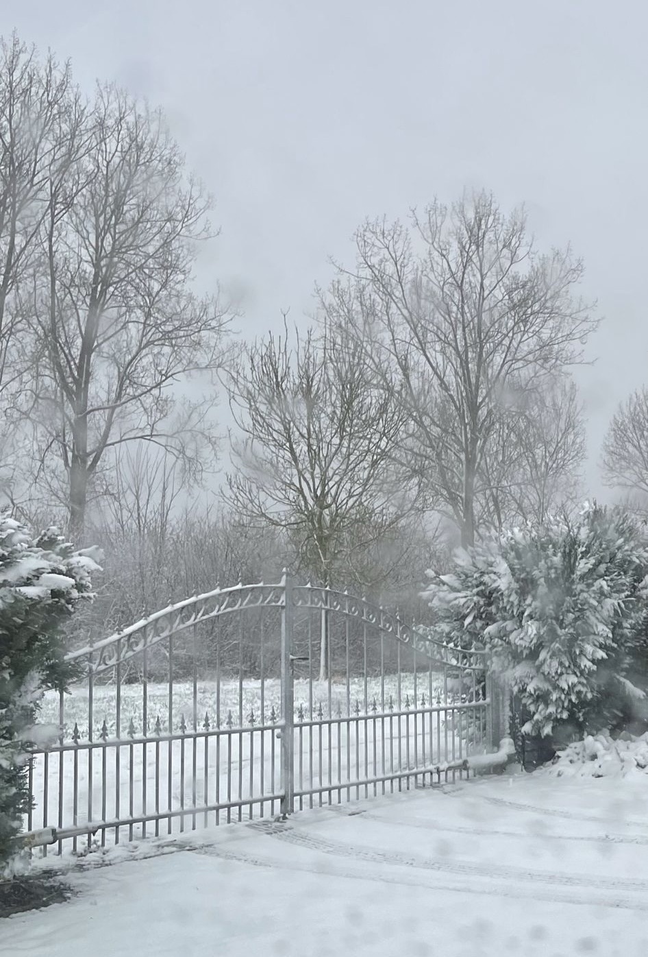 Een korte Wintermiddag