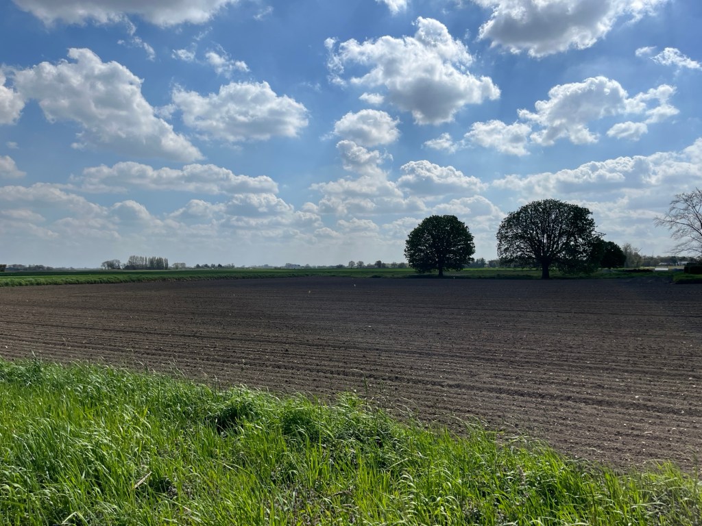 Het wijdse land