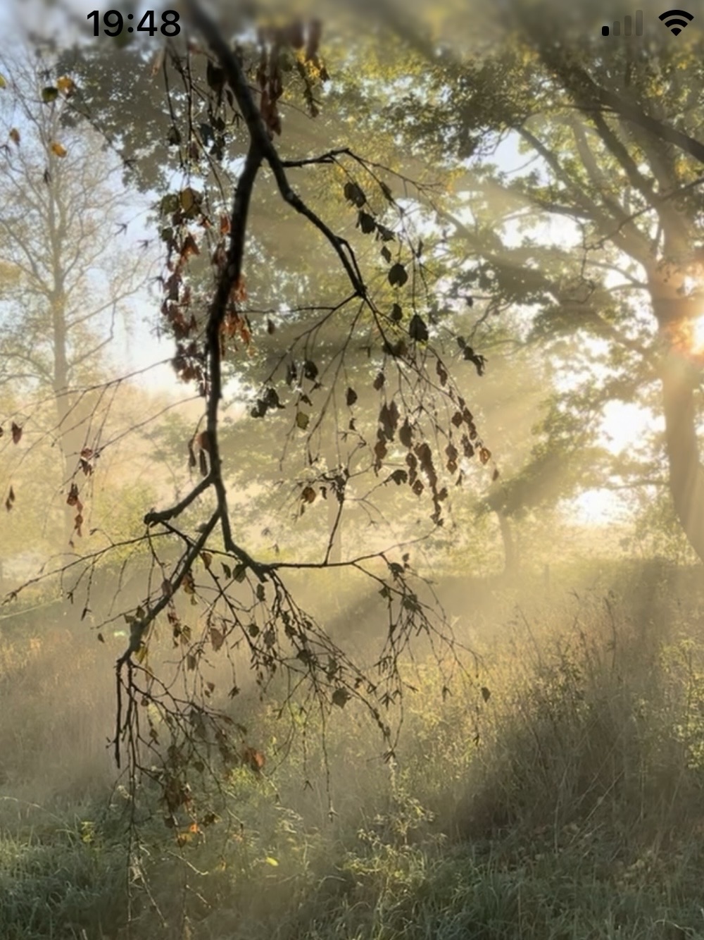 Herfstdag